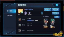 王者圈内爆料怎么看战绩,圈内爆料揭示幕后真相